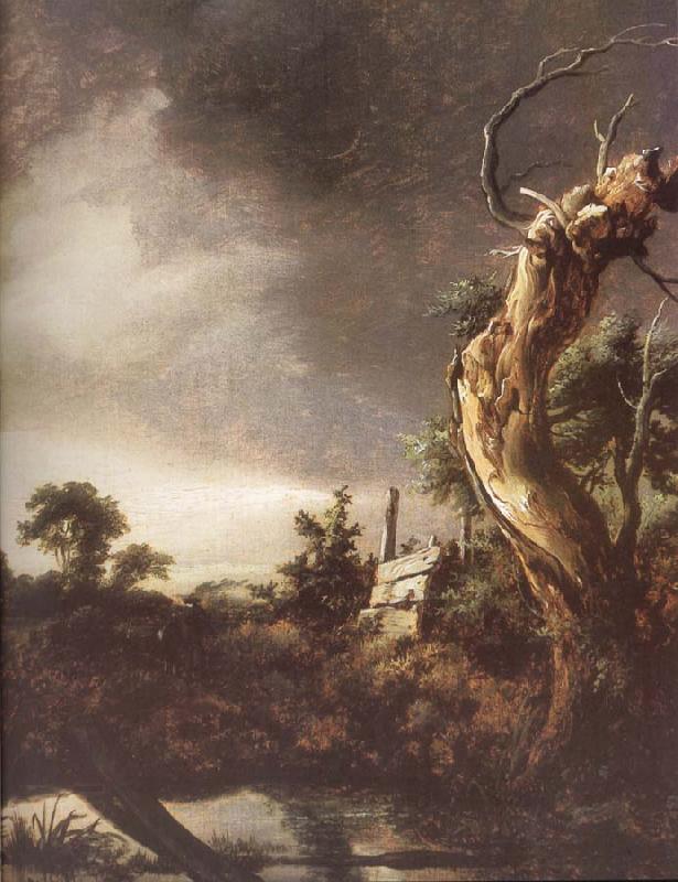 Jacob van Ruisdael Landscape during a Storm China oil painting art